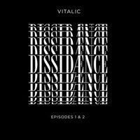 Vitalic - Dissidaence Vol 1.2 vinyl cover