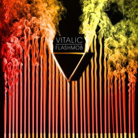 Vitalic - Flashmob vinyl cover