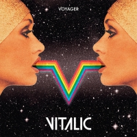 Vitalic - Voyager vinyl cover