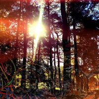 Viviankrist - Cross Modulation Bootleg Remixes vinyl cover