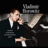 Vladimir Horowitz - Chopin / Schumann / Rachmaninoff / Liszt (Green Moss) vinyl cover