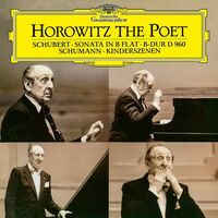 Vladimir Horowitz - Horowitz The Poet vinyl cover