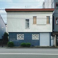 Vladislav Delay - Hide Behind The Silence vinyl cover