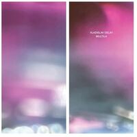 Vladislav Delay - Multila 2023 Repress vinyl cover