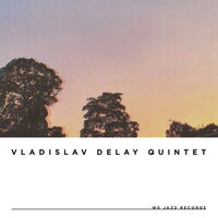 Vladislav Delay Quintet - vd5 vinyl cover