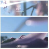 Vladislav Delay - Whistleblower vinyl cover