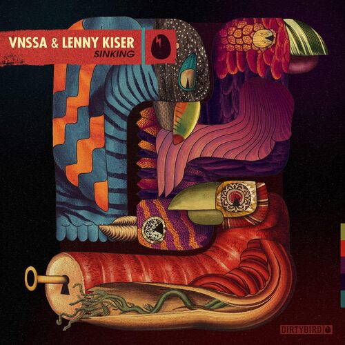 Vnssa - Sinking vinyl cover
