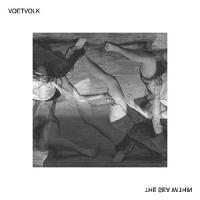 Voetvolk - Sea Within vinyl cover