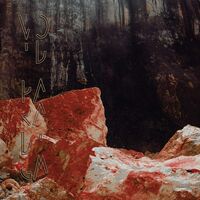 Void Paradigm - Ultime Pulsation vinyl cover