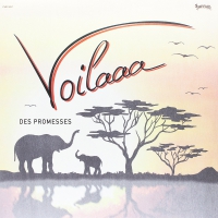 Voilaaa - Des Promesses vinyl cover