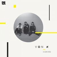 Von K. - Vi Gor Stan vinyl cover