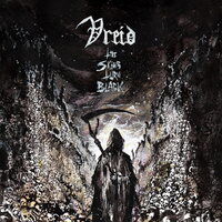 Vreid - THe Skies Turn Black (Gold/Black Color-In-color) vinyl cover