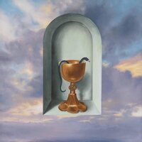 Vulture Feather - Merge Now in Friendship vinyl cover