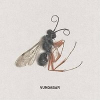 Vundabar - Good Old vinyl cover