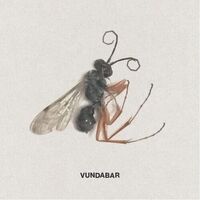 Vundabar - Good Old vinyl cover
