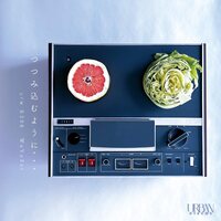 Wa Yo Set - Tsutsumikomu Youni / R308 vinyl cover