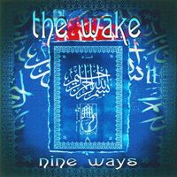 Wake - Nine Ways (Blue vinyl) vinyl cover