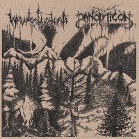 Waldgefluster / Panopticon - Split vinyl cover
