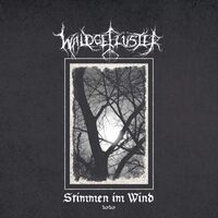 Waldgefluster - Stimmen Im Wind 2020 vinyl cover