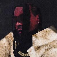 Wale - everything is a lot. vinyl cover