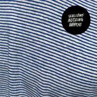 Wallows - Nothing Happens vinyl cover