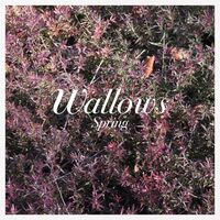 Wallows - Spring Ep Pink & vinyl cover