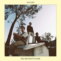 Wallows - Tell Me That It's Over vinyl cover