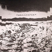 Wallpaper - Domestic Landscape Activities vinyl cover