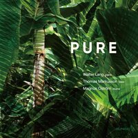 Walter Lang Trio - Pure vinyl cover