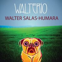 Walter Salas-Humara - Walterio vinyl cover