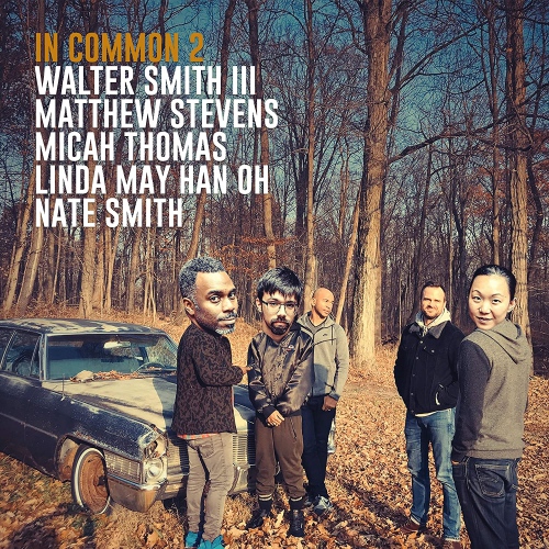 Walter Smith III &  Matthew Stevens - In Common 2 vinyl cover