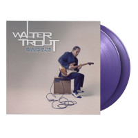 Walter Trout - Blues For The Modern Daze (Purple) vinyl cover