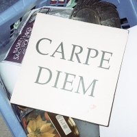 Walter Tv - Carpe Diem vinyl cover