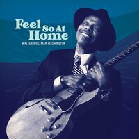 Walter Washington Wolfman - Feel So at Home vinyl cover