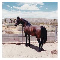 Wand / Darto - Wand / Darto vinyl cover