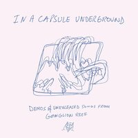 Wand - In A Capsule Underground vinyl cover