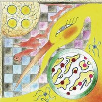 Wand - Perfume vinyl cover
