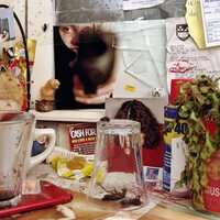 Wants - Bastard vinyl cover