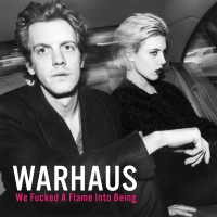 Warhaus - We Fucked A Flame Into Being vinyl cover