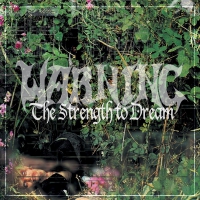 Warning - The Strength To Dream vinyl cover