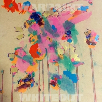 Warpaint - Whiteout vinyl cover