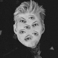 Wassermann - The Palace vinyl cover