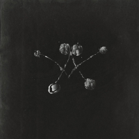 Waterstrider - Nowhere Now vinyl cover