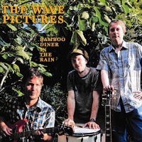 Wave Pictures - Bamboo Diner In The Rain vinyl cover