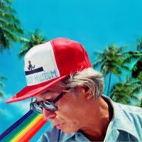 Wave Temples - Panama Shift vinyl cover