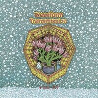 Waveform Transmission - V 3.0 - 3.9 vinyl cover