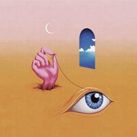 Wavves - Hideaway vinyl cover