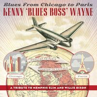 Wayne - Blues From Chicago To Paris vinyl cover