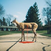 Wayne Graham - Bastion vinyl cover