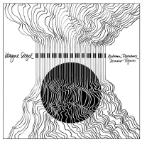 Wayne Siegel - Autumn Resonance / Domino Figures vinyl cover